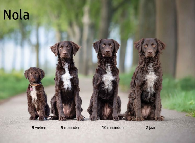 Nola groeifoto zittend